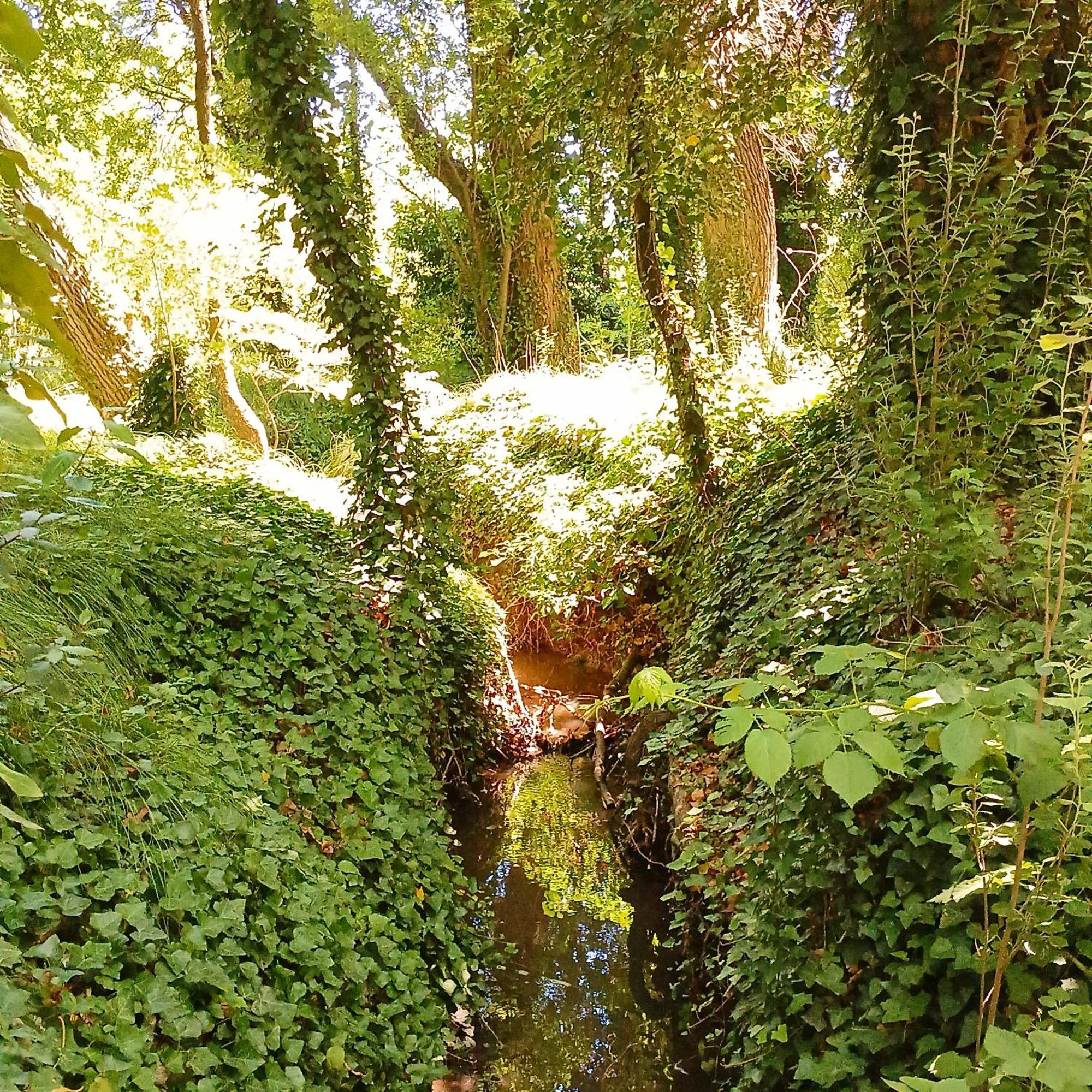 Cuenca Del Bosque Lodge