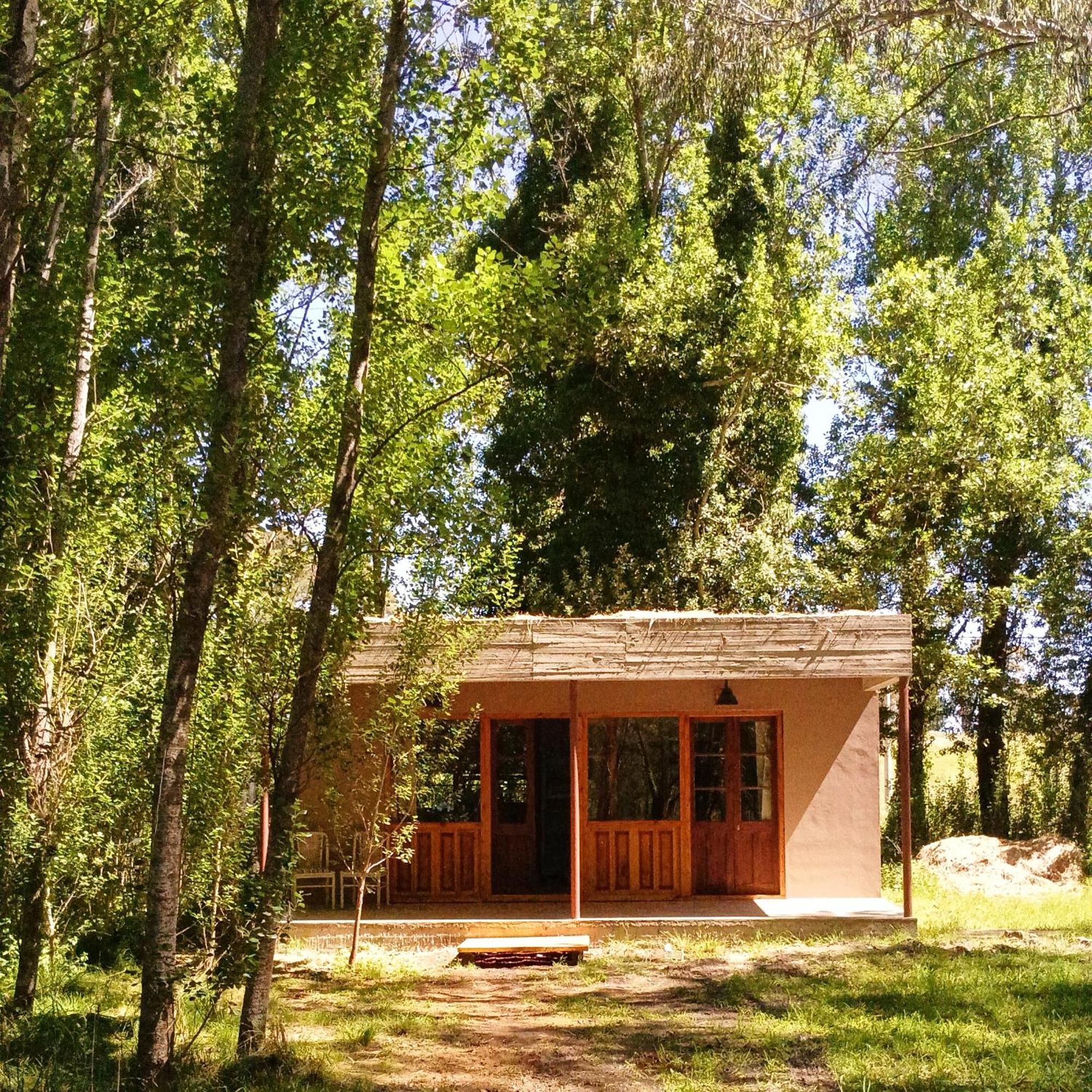 Cuenca Del Bosque *