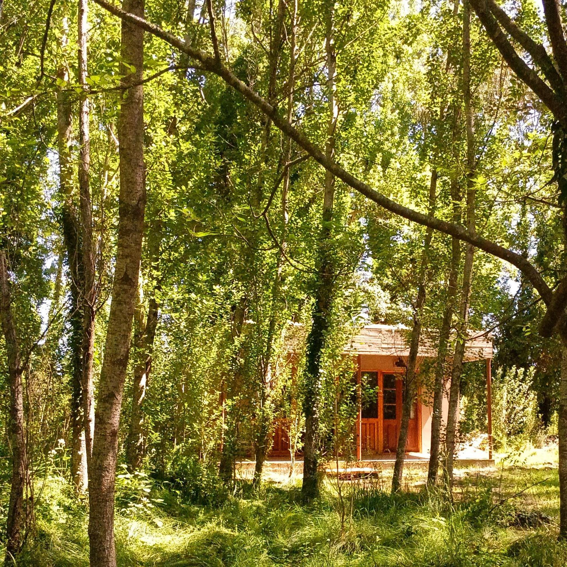 Cuenca Del Bosque Tandil