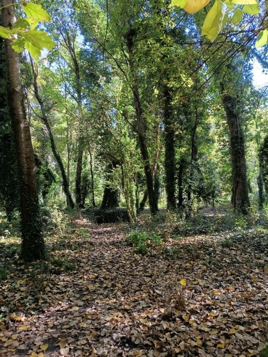 Cuenca Del Bosque * Tandil